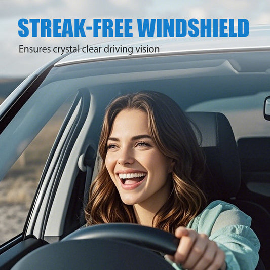 Rapid-Melt Winter Windshield Cleaner & De-Icer